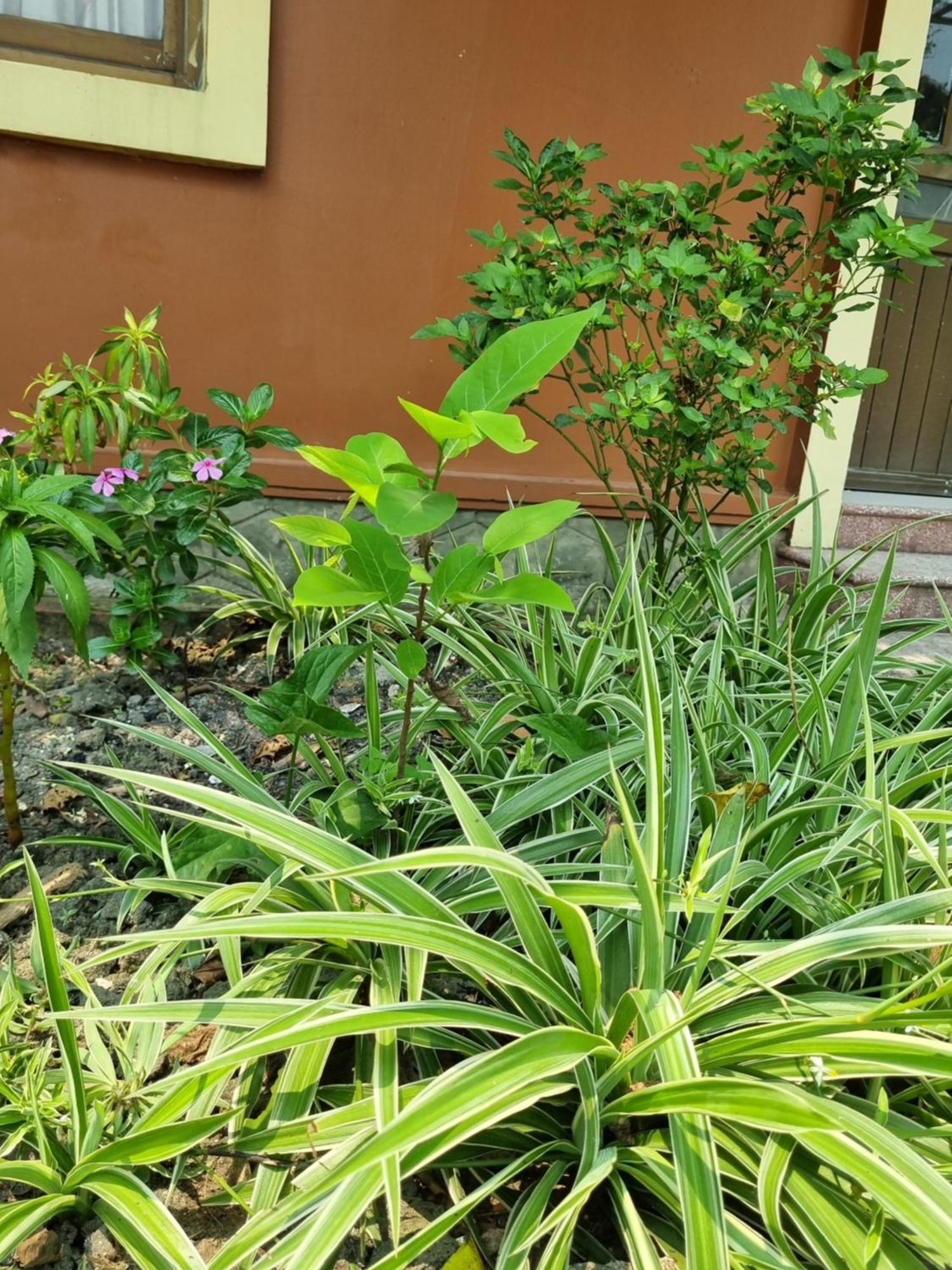 Hotel Khach San Vien Dong Cửa Lò Esterno foto